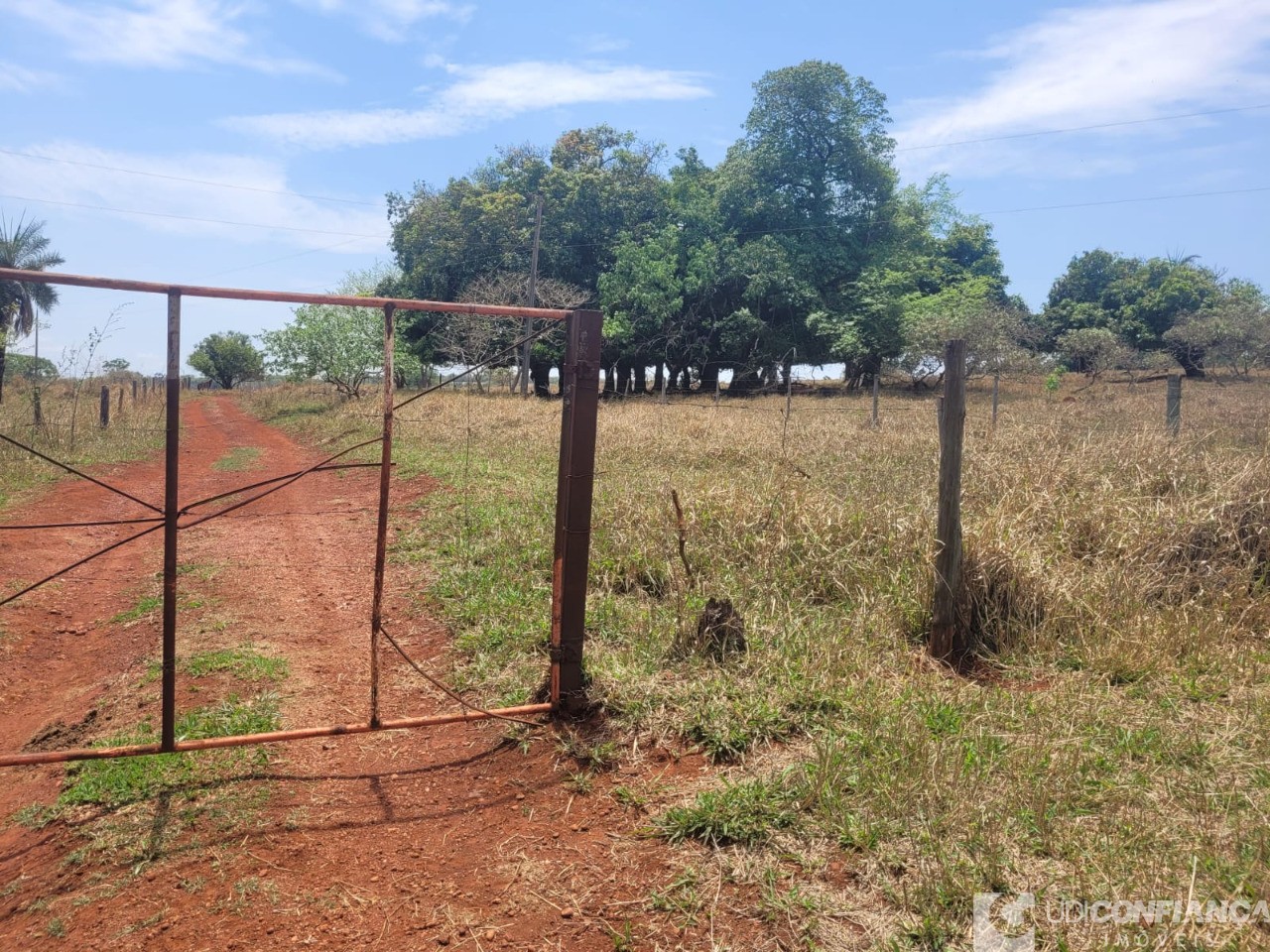 Fazenda - Foto 15