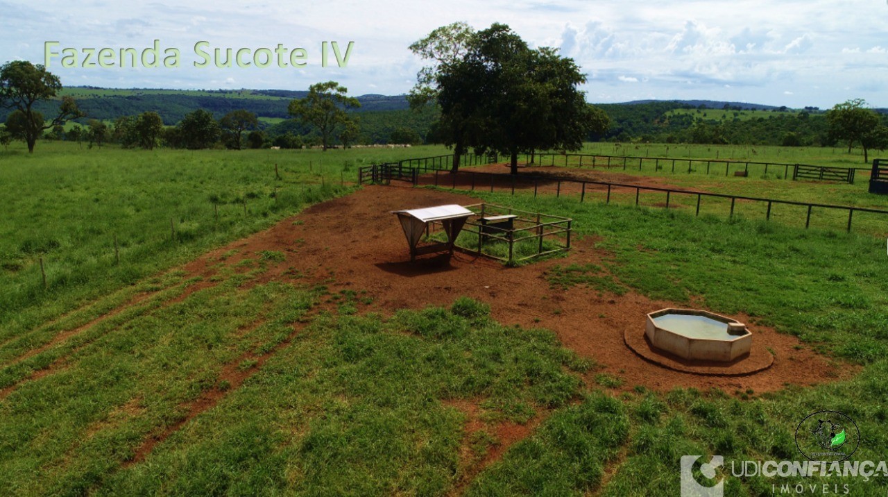 Fazenda - Foto 9