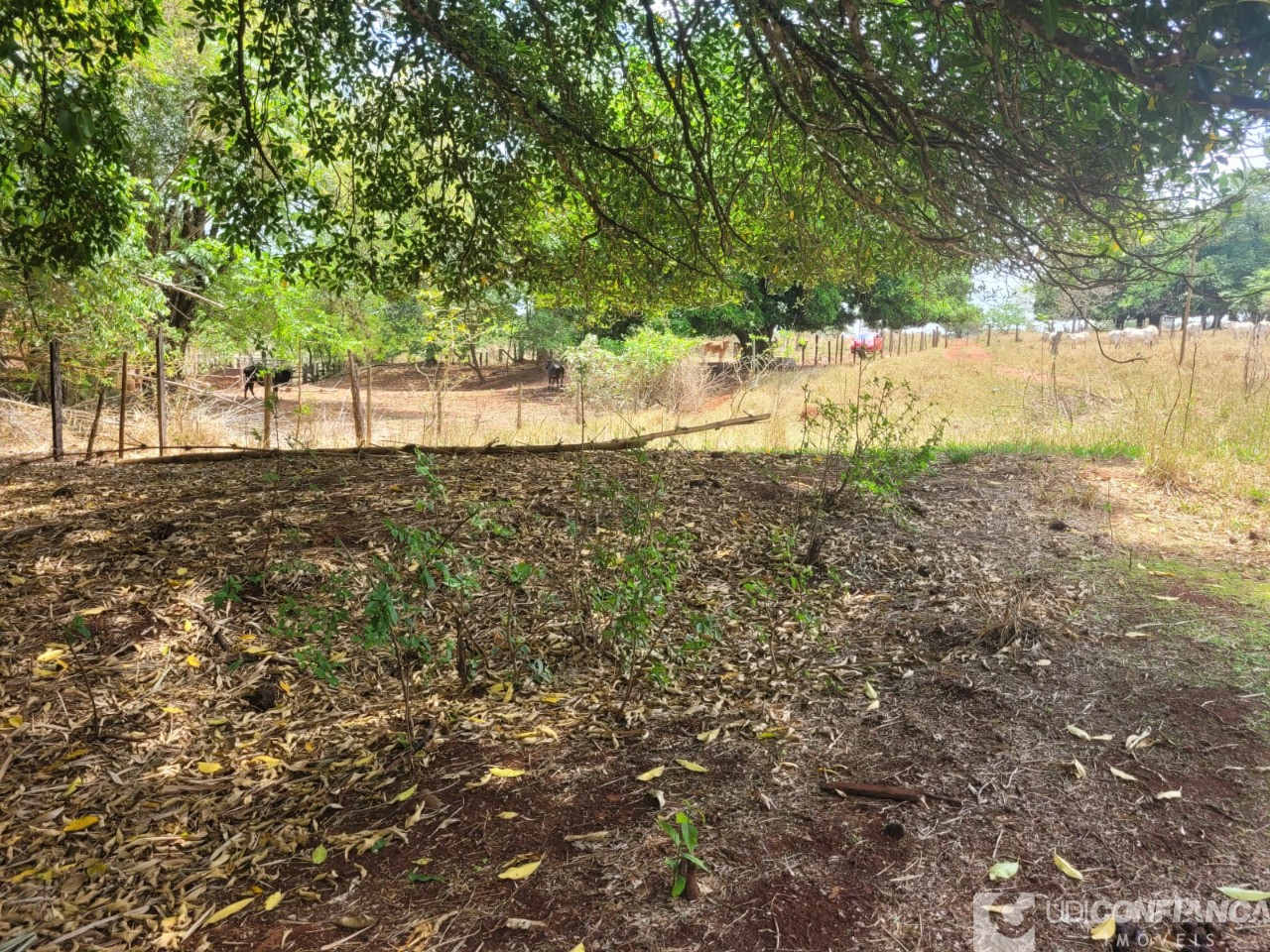 Fazenda - Foto 31