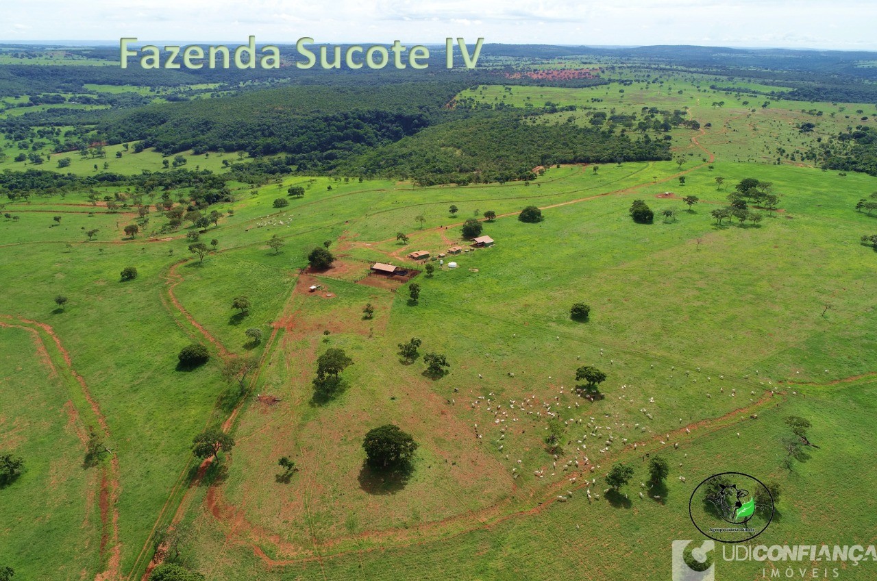 Fazenda - Foto 18
