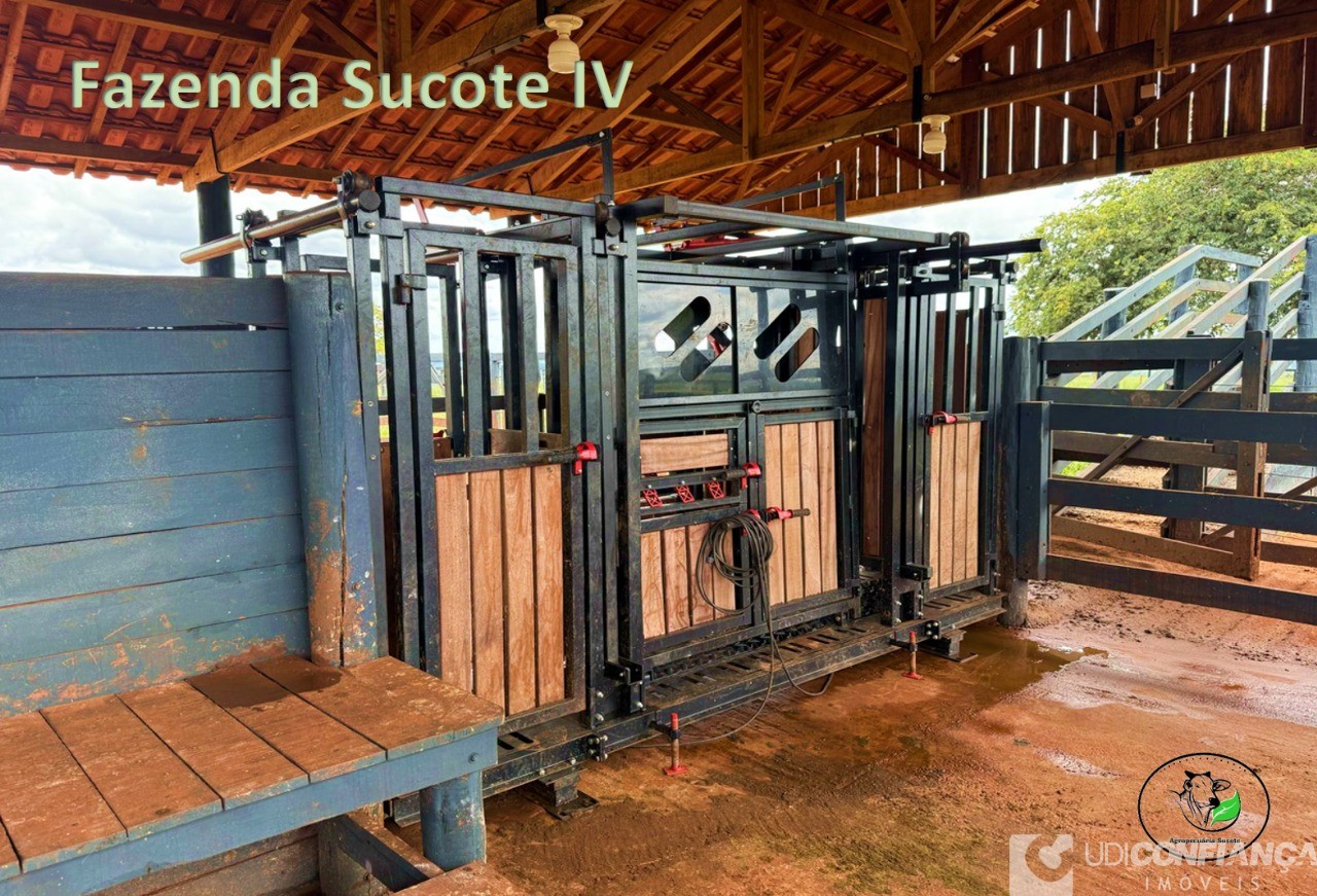 Fazenda - Foto 5