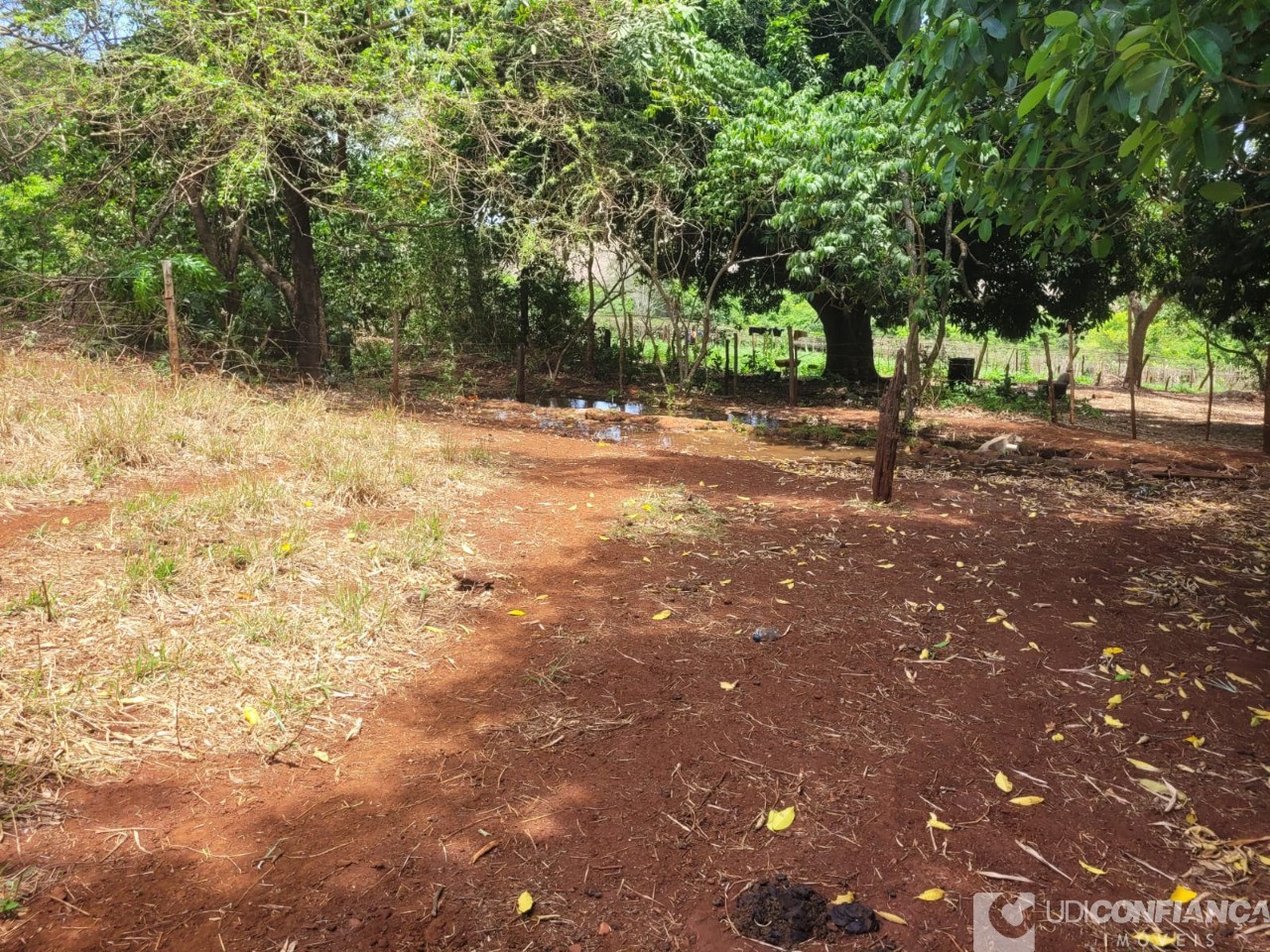 Fazenda - Foto 37