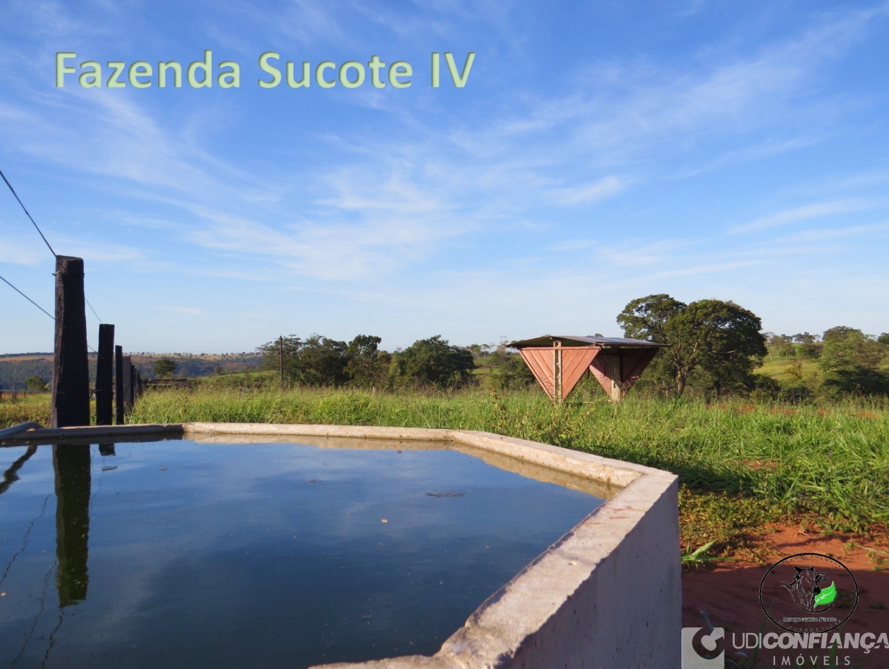 Fazenda - Foto 11