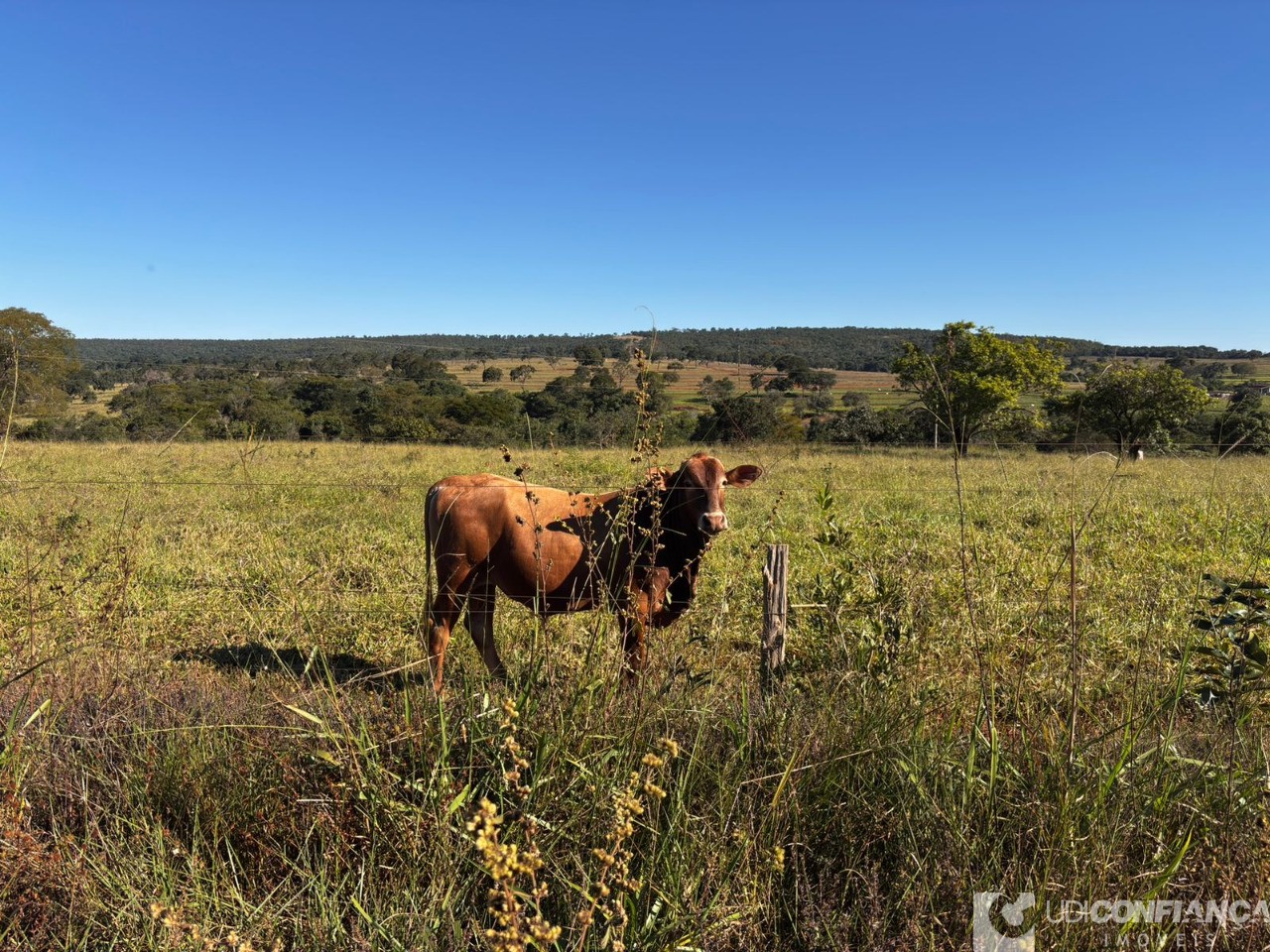 Fazenda - Foto 2