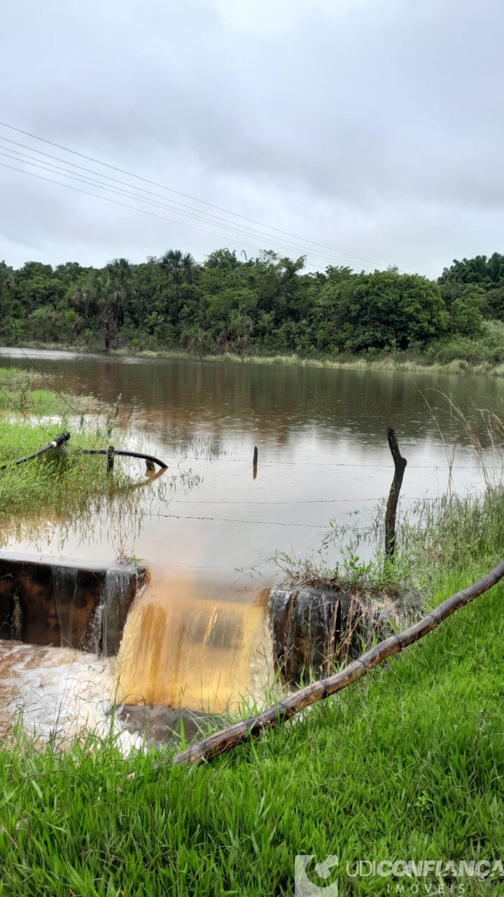 Fazenda - Foto 4