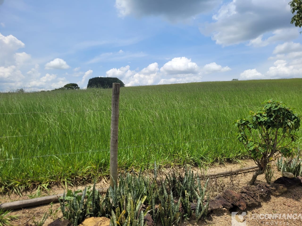 Fazenda - Foto 11
