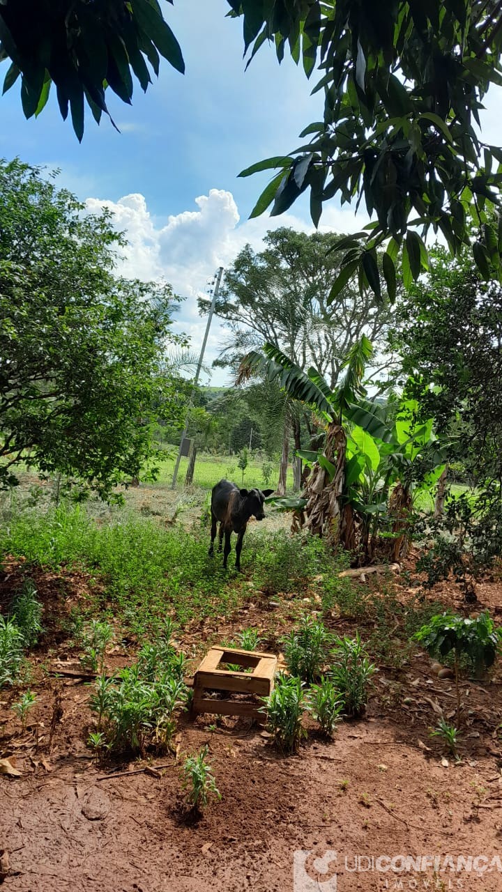 Fazenda - Foto 2