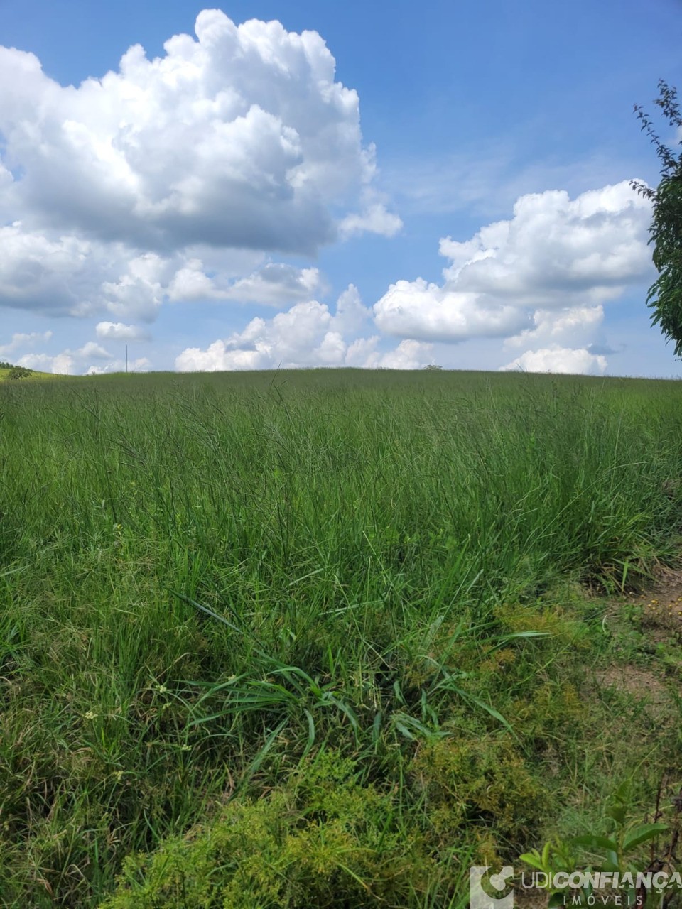 Fazenda - Foto 3