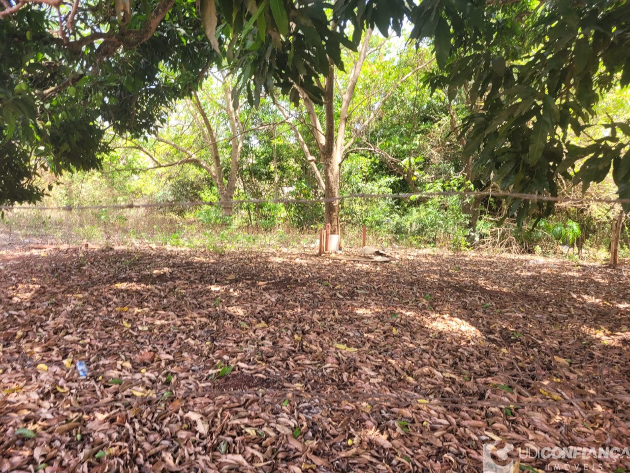 Fazenda - Foto 39