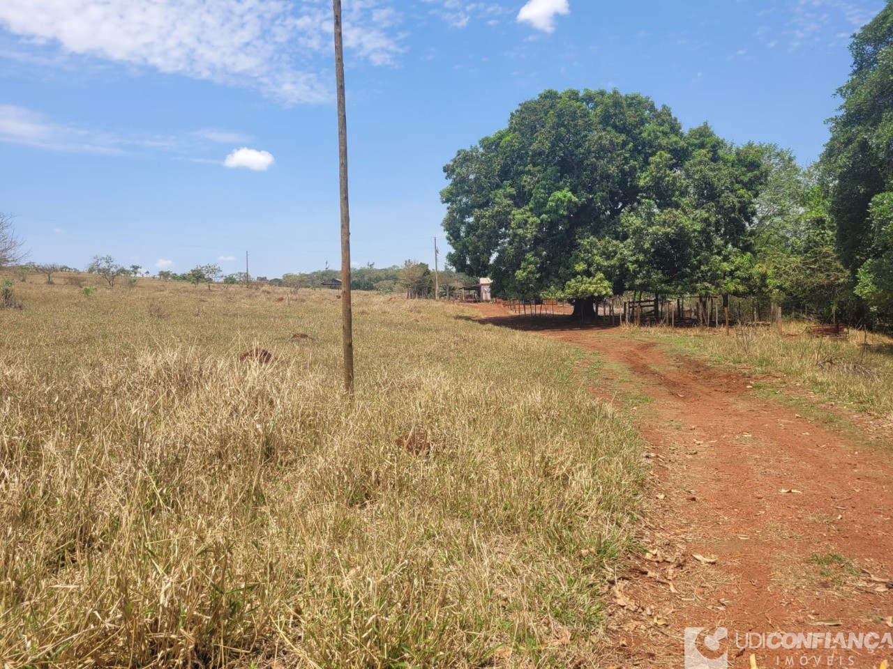 Fazenda - Foto 26