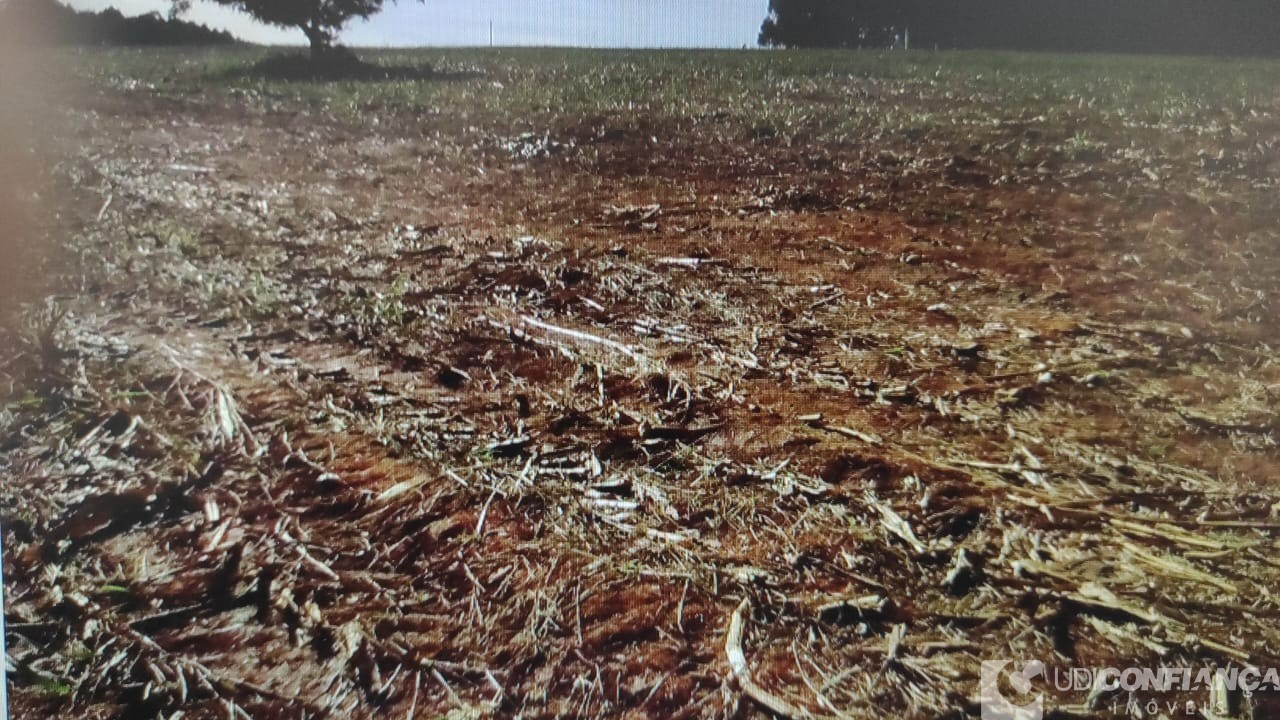 Fazenda - Foto 2