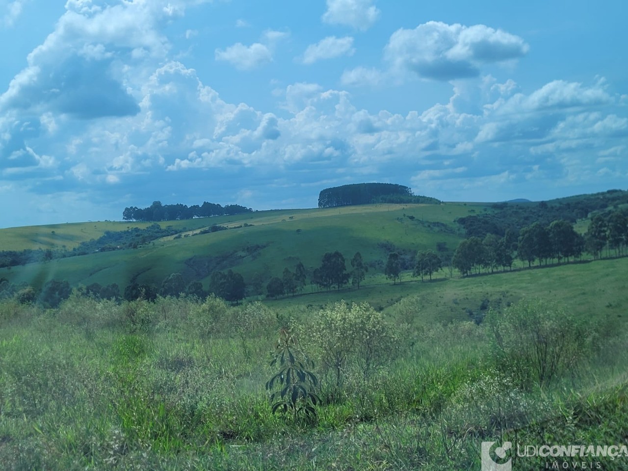 Fazenda - Foto 1