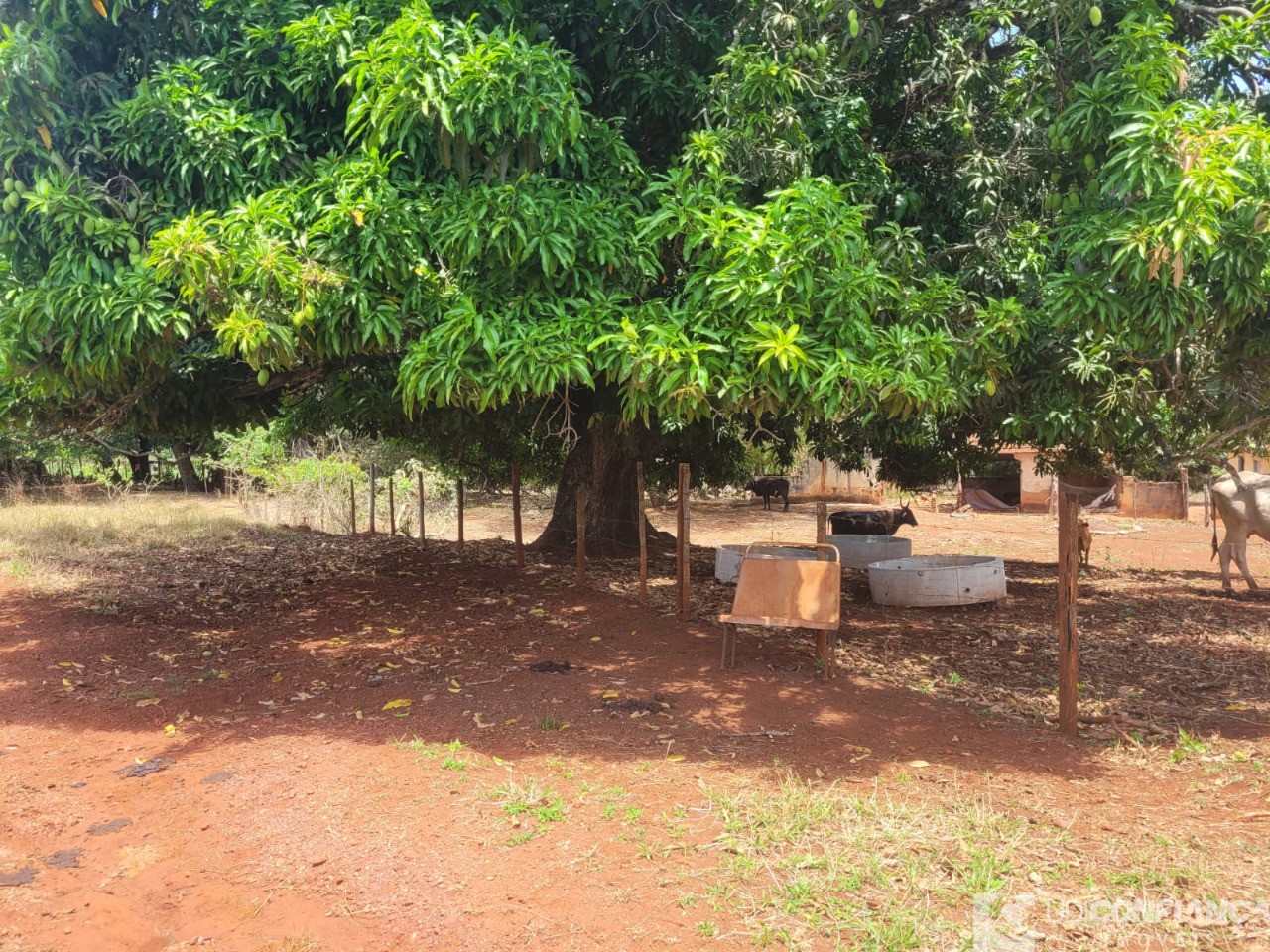 Fazenda - Foto 16