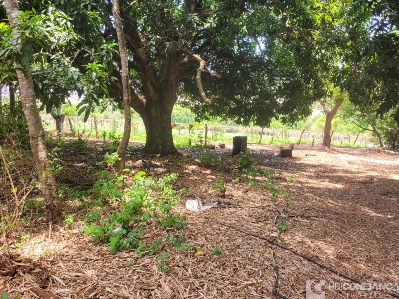 Fazenda - Foto 25