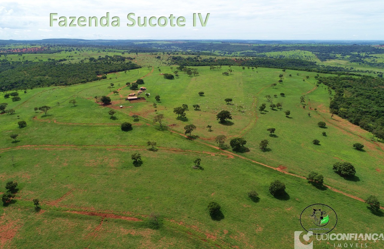 Fazenda - Foto 16