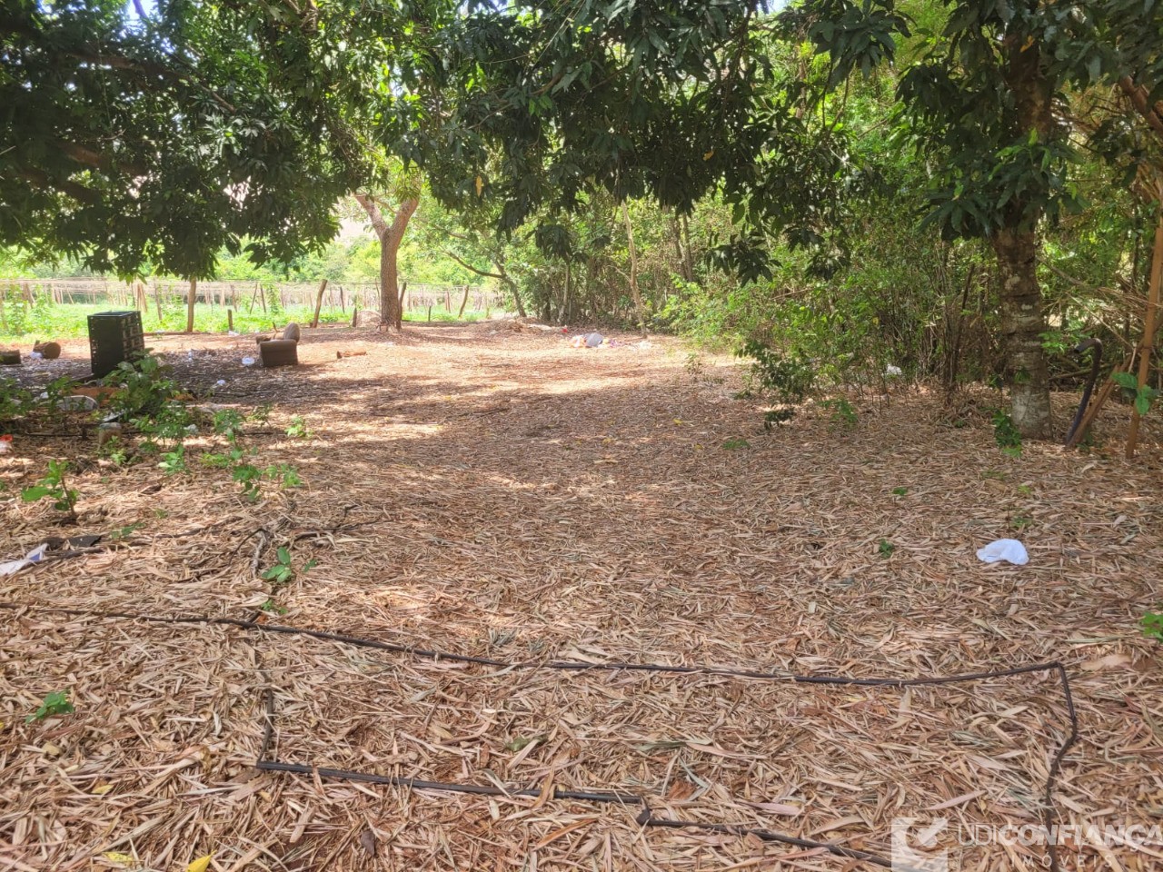 Fazenda - Foto 23