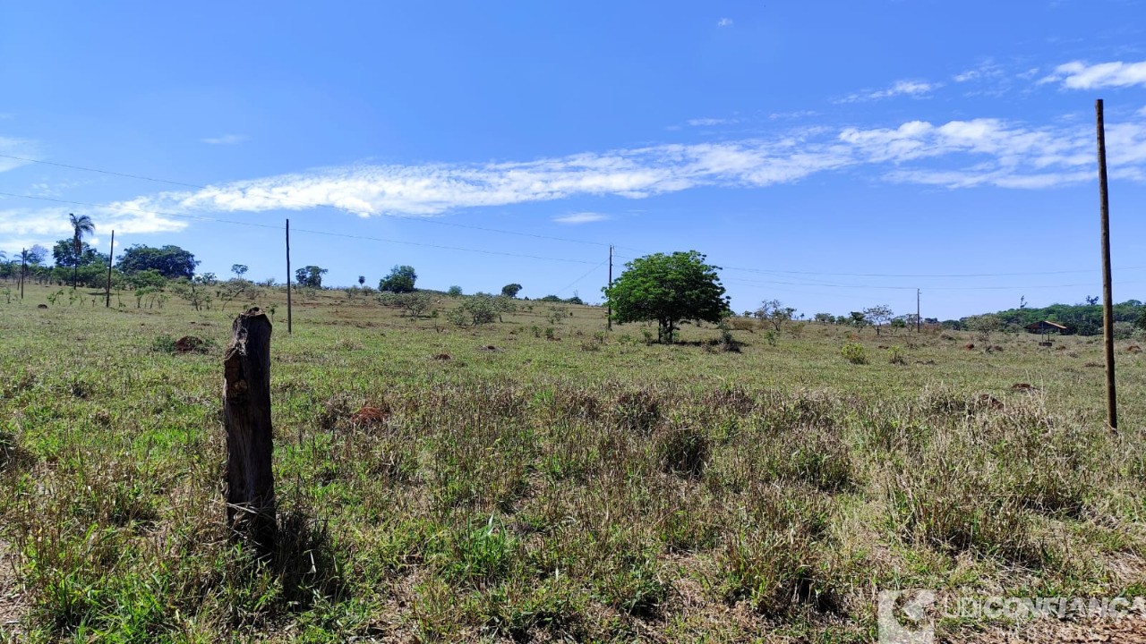 Fazenda - Foto 4