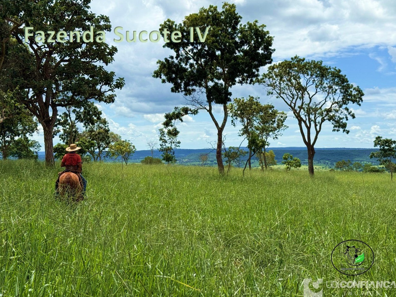 Fazenda - Foto 12
