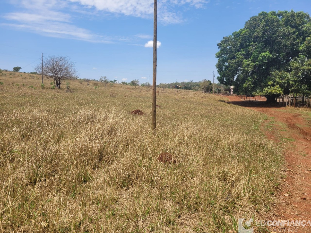 Fazenda - Foto 19