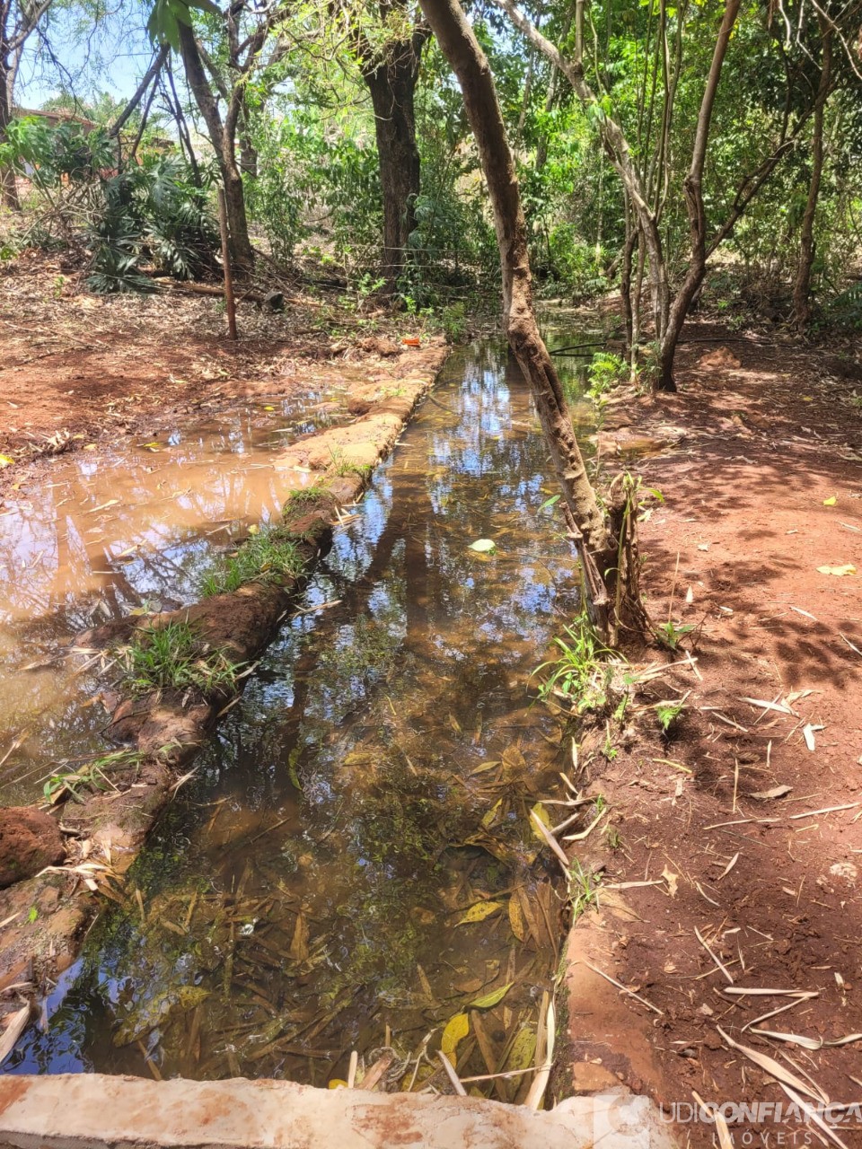 Fazenda - Foto 30