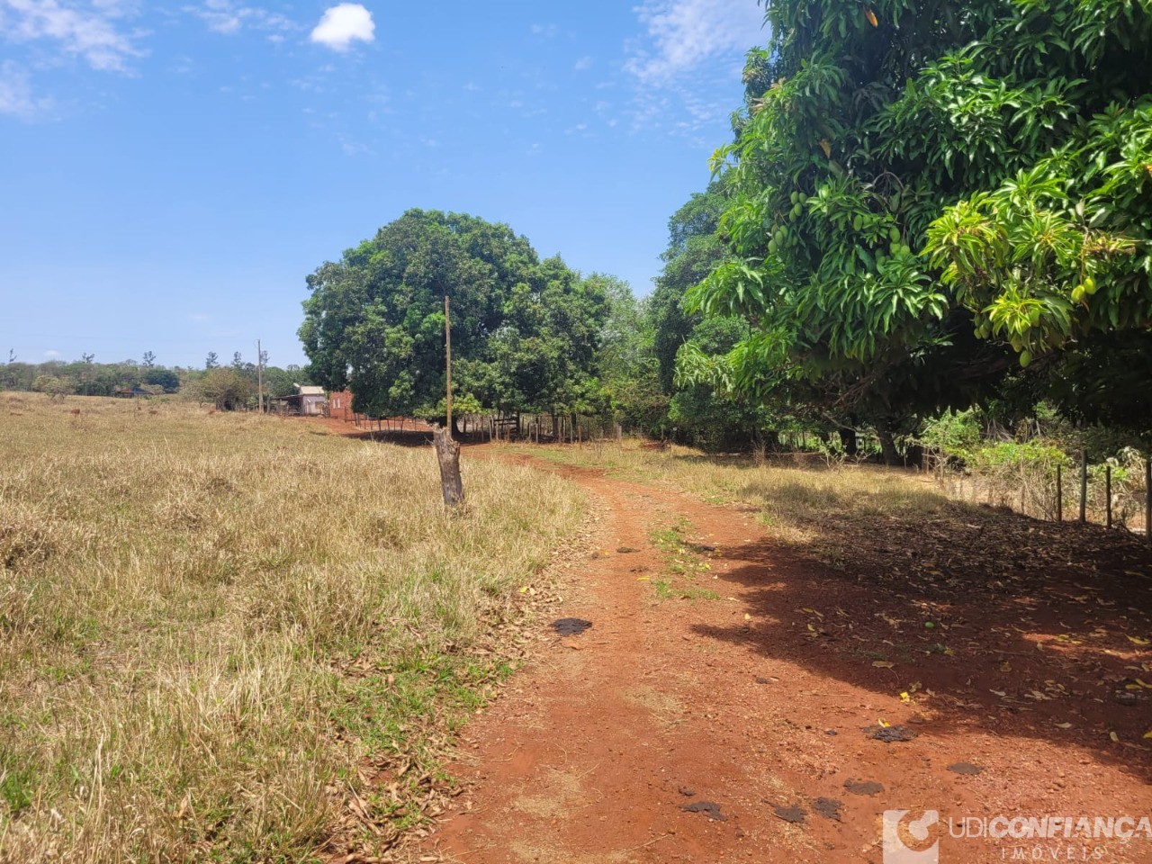 Fazenda - Foto 17