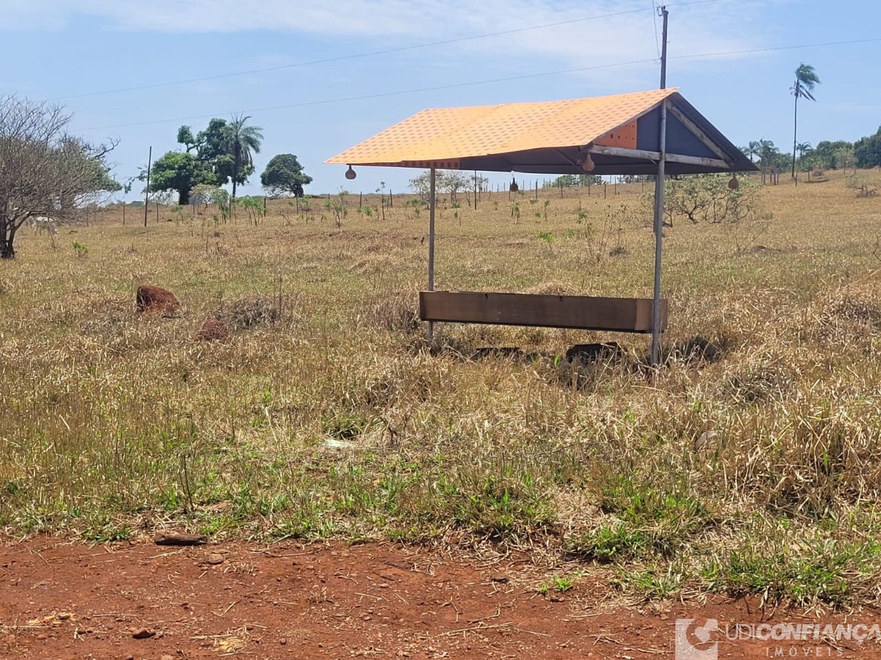 Fazenda - Foto 36