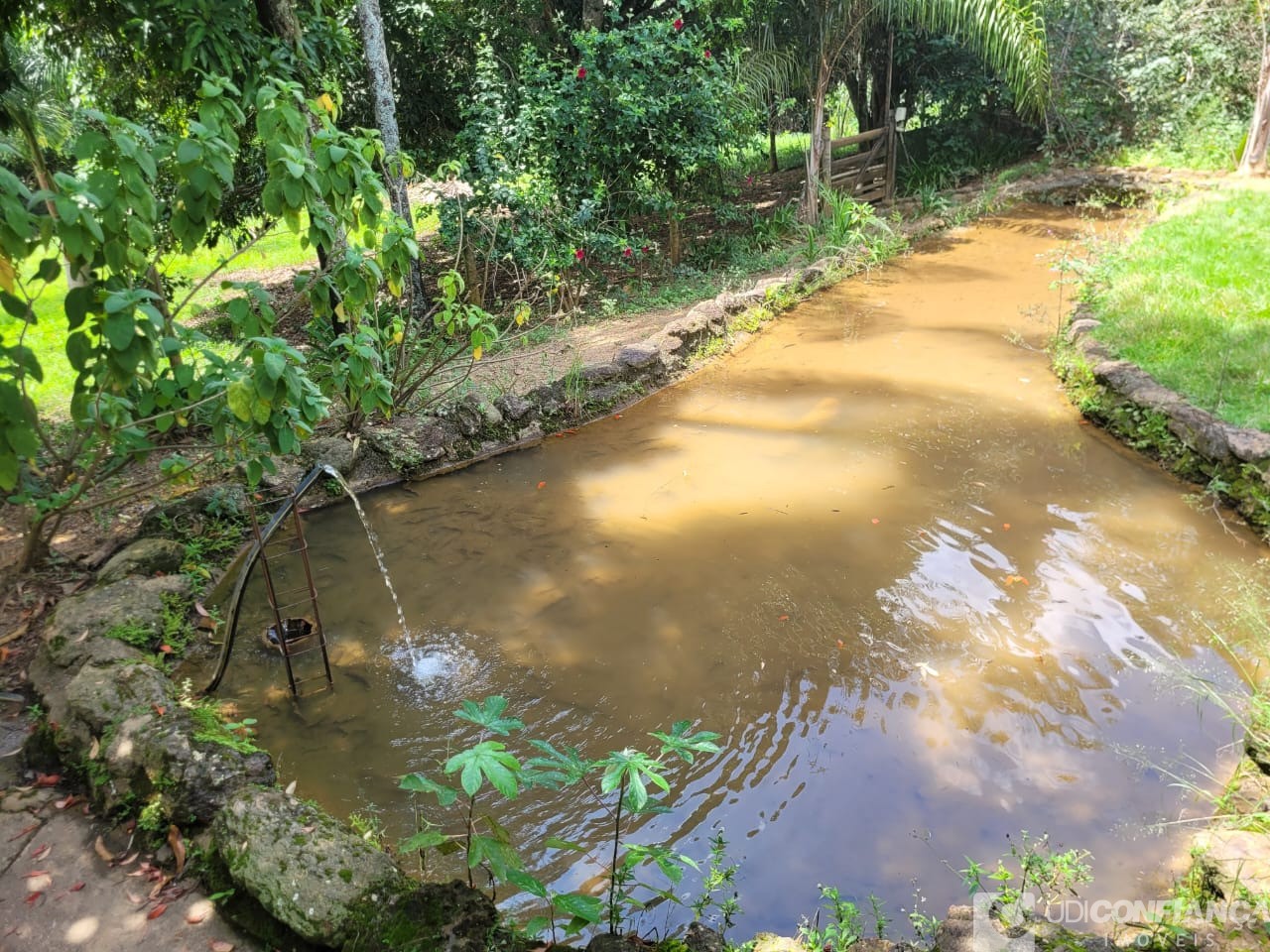 Fazenda - Foto 7