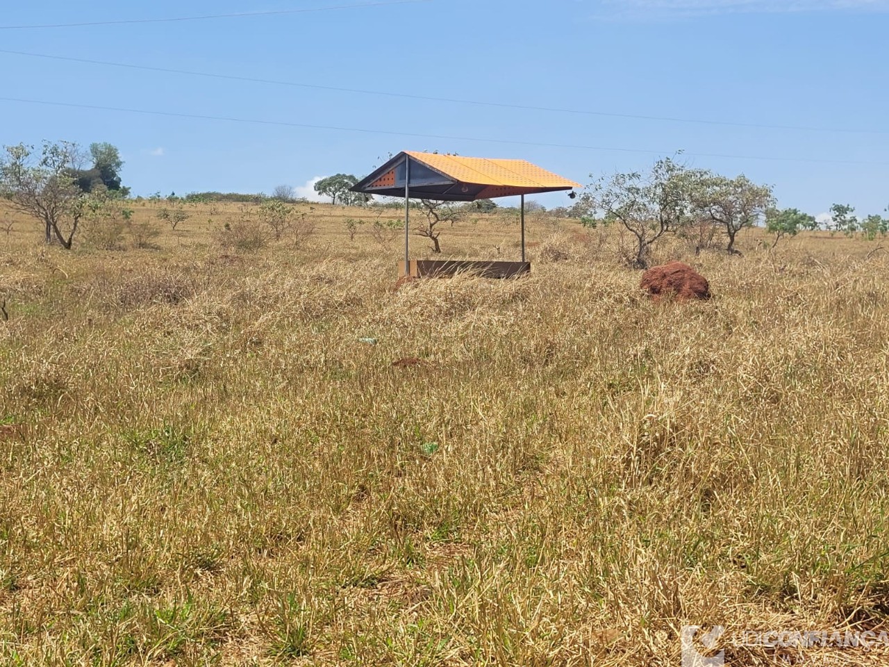 Fazenda - Foto 41
