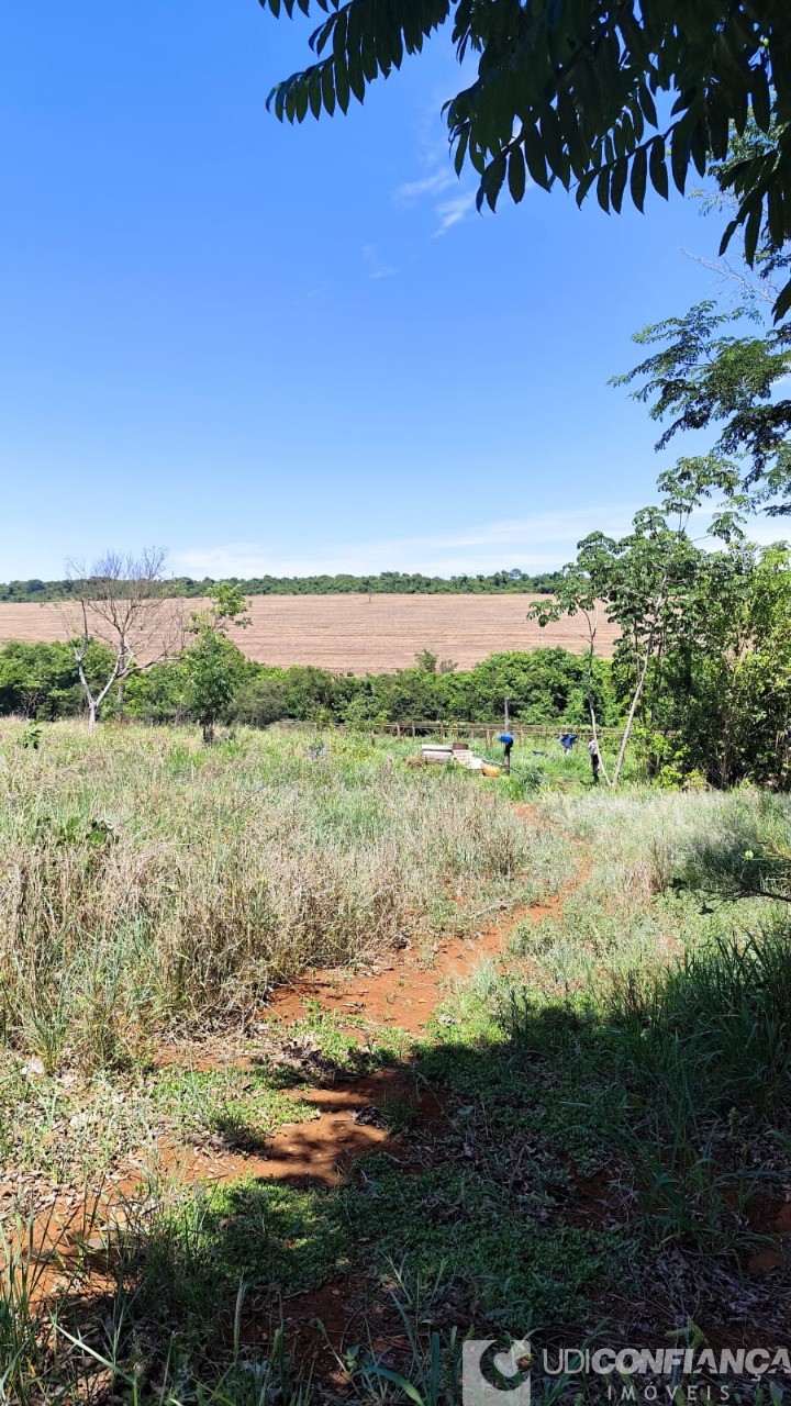 Fazenda - Foto 7