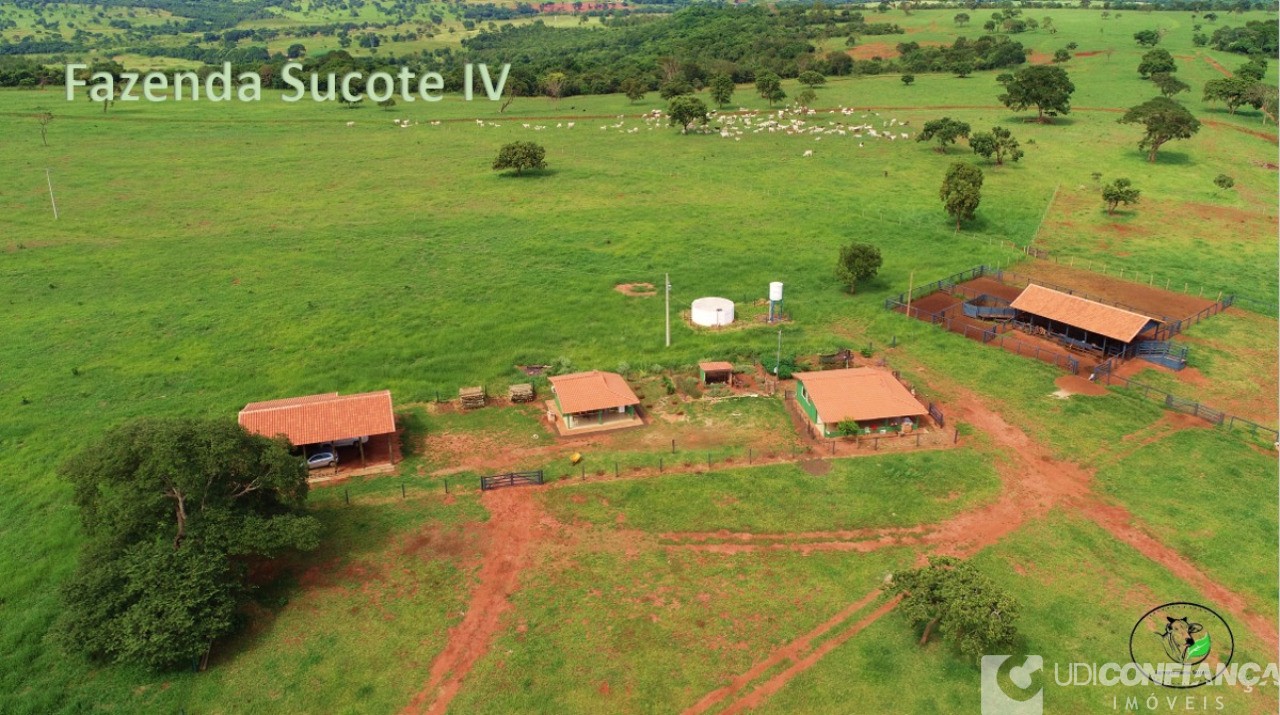Fazenda - Foto 1