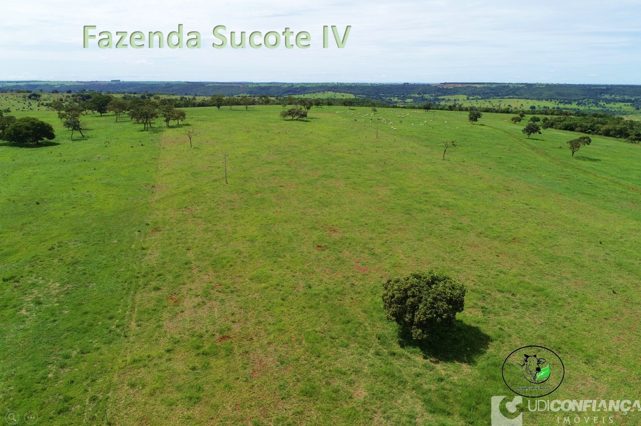 Fazenda - Foto 17