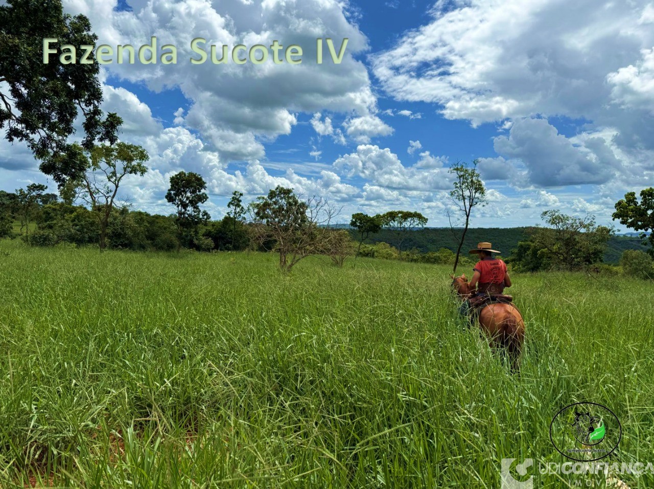 Fazenda - Foto 15