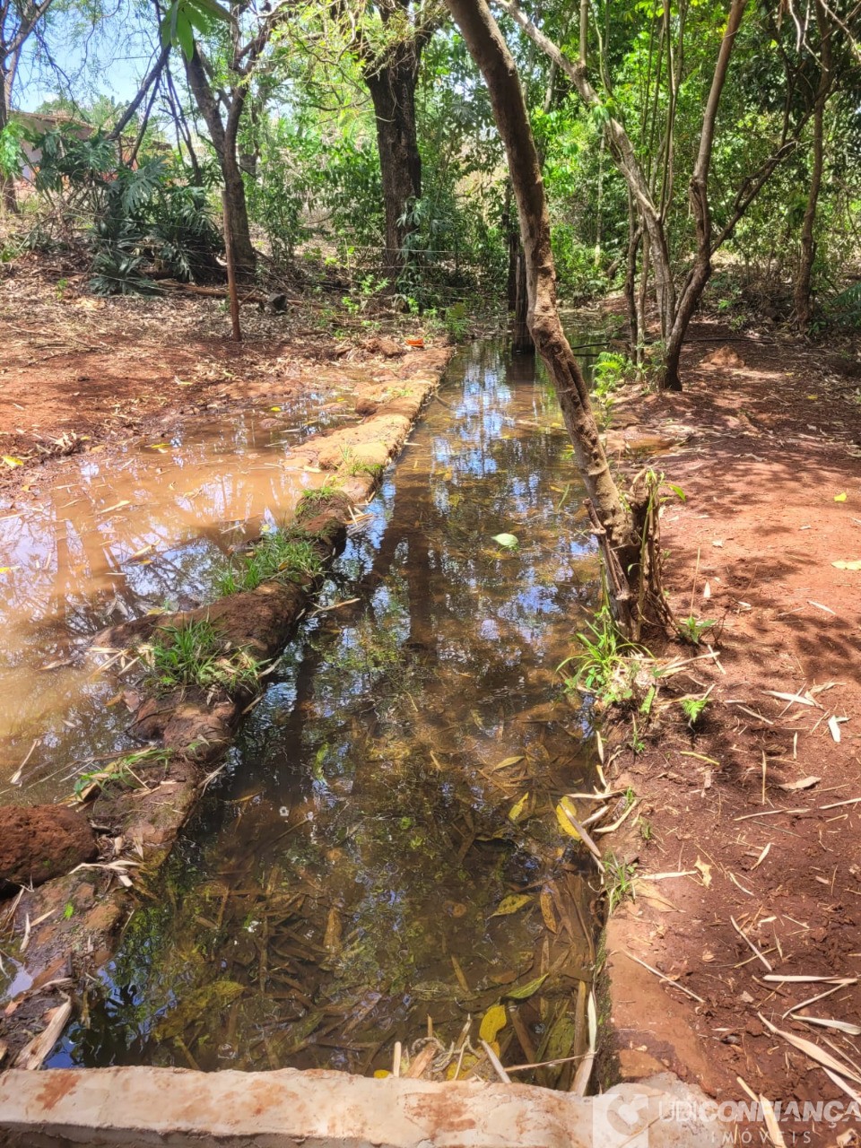 Fazenda - Foto 27