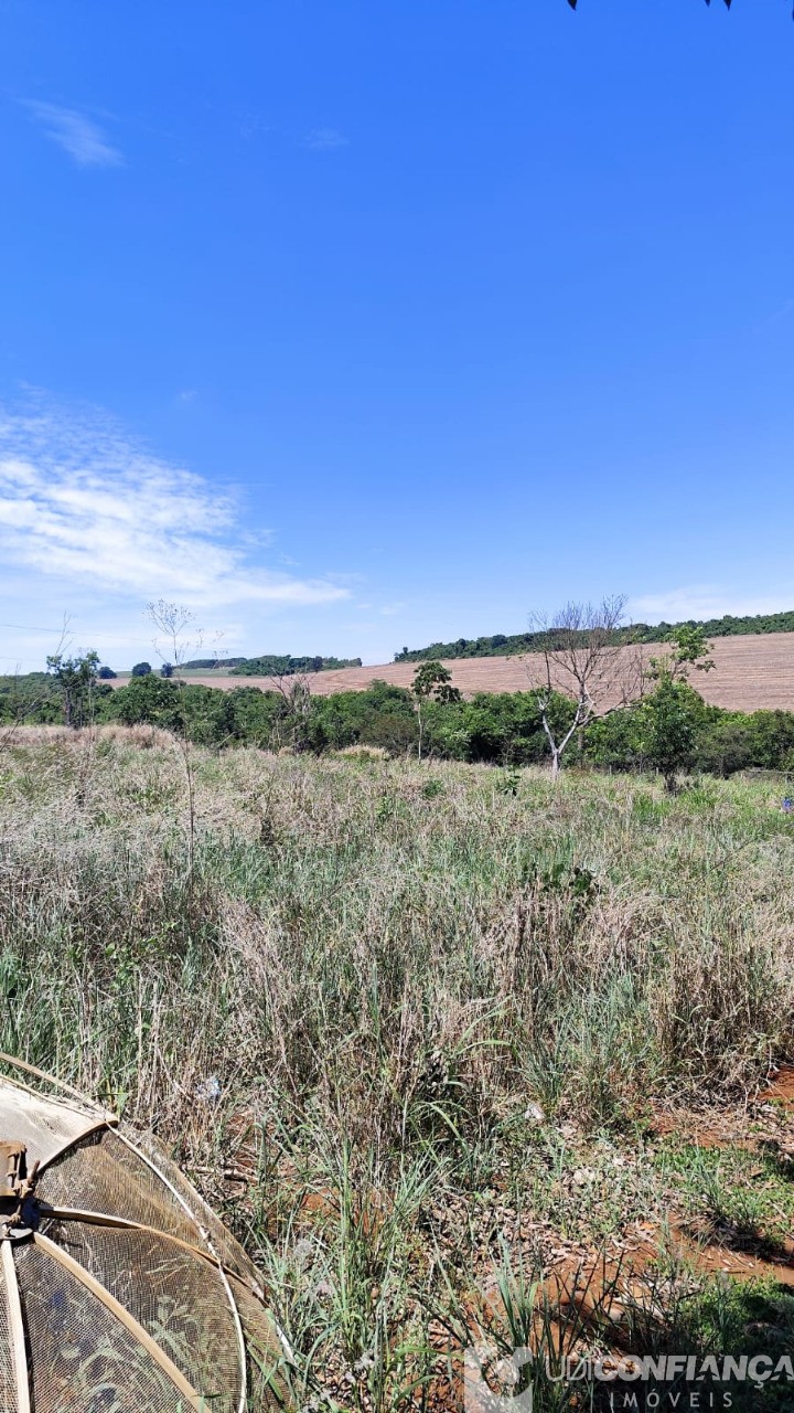 Fazenda - Foto 8