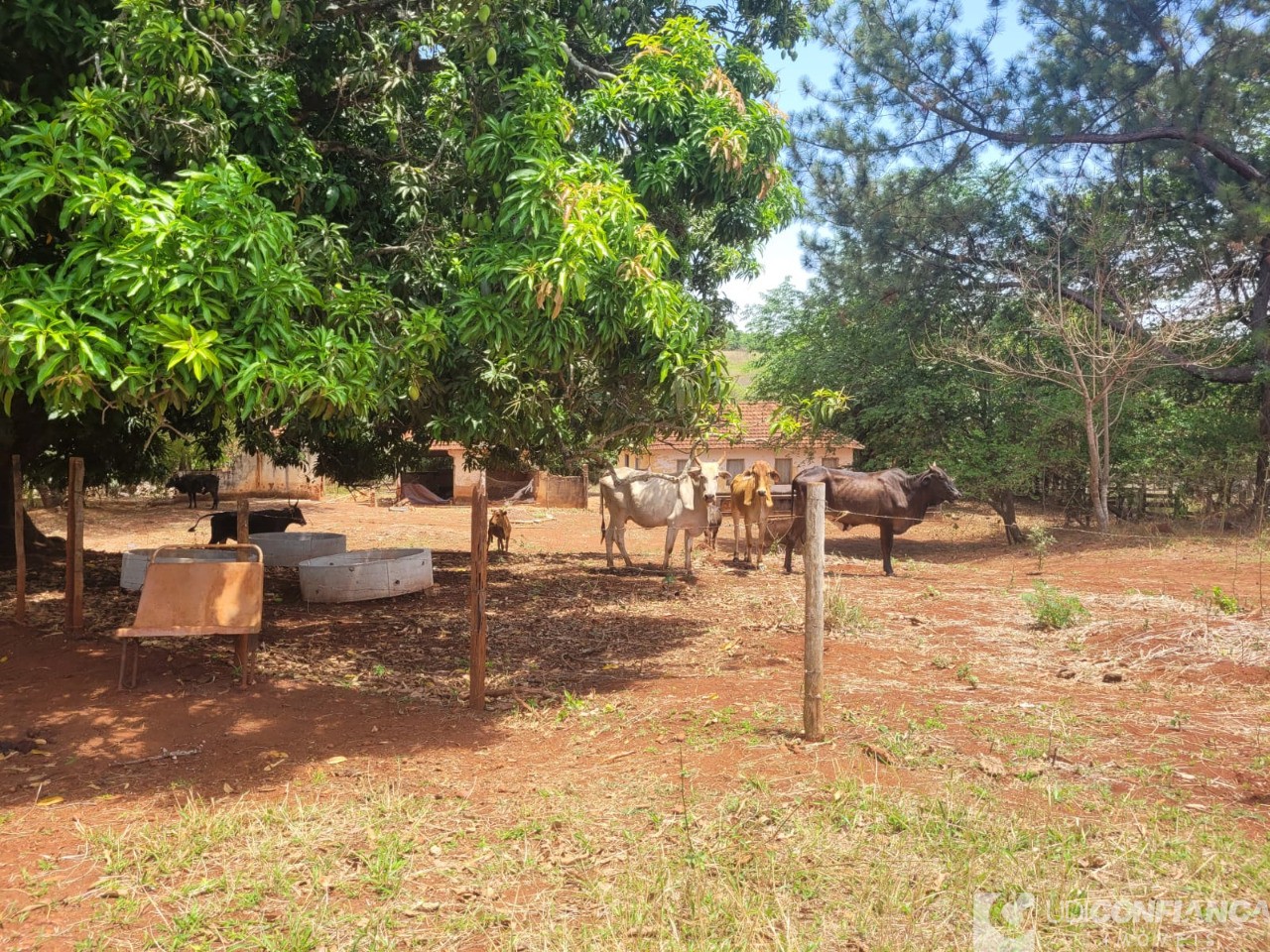 Fazenda - Foto 21