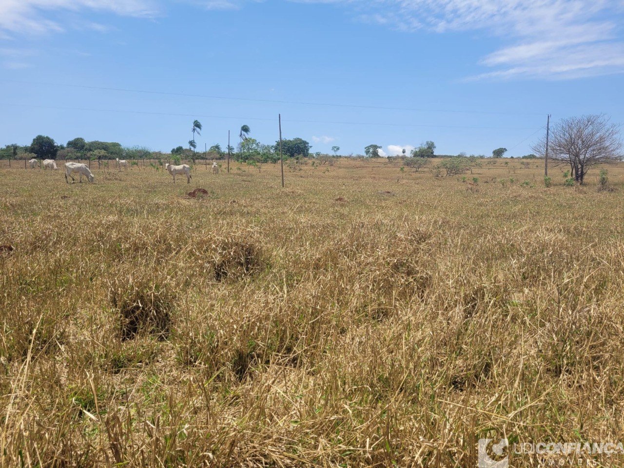 Fazenda - Foto 18