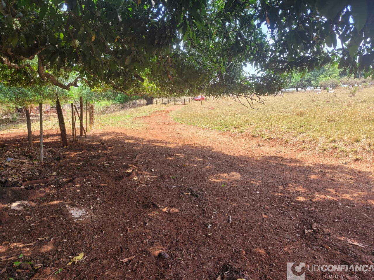 Fazenda - Foto 33