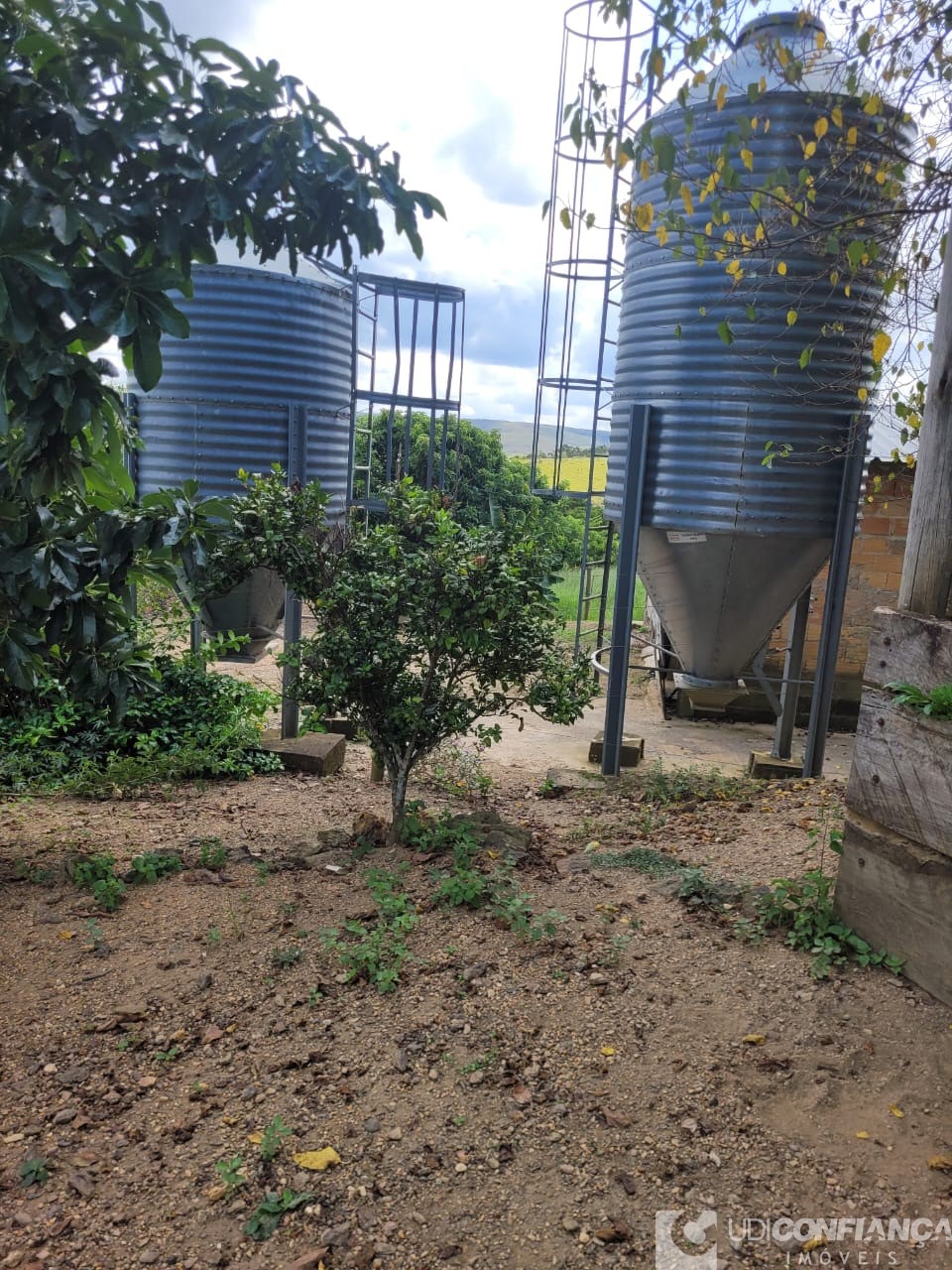 Fazenda - Foto 4