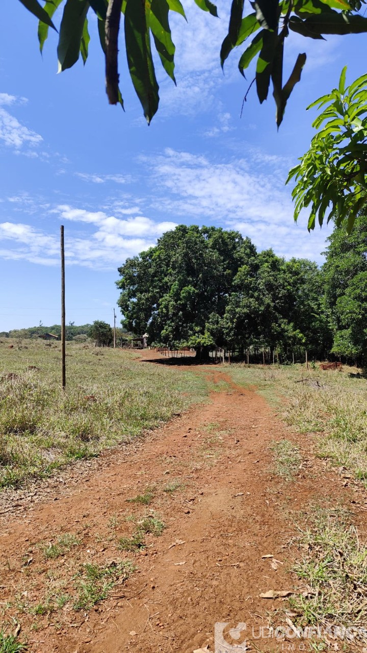 Fazenda - Foto 6