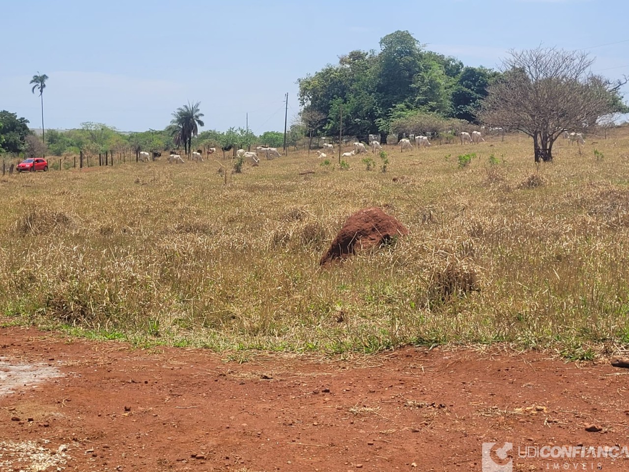 Fazenda - Foto 40