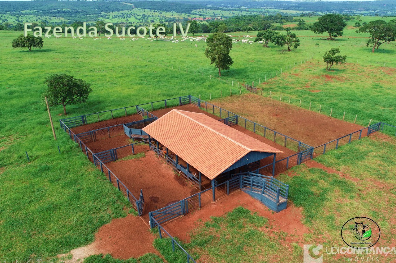 Fazenda - Foto 4