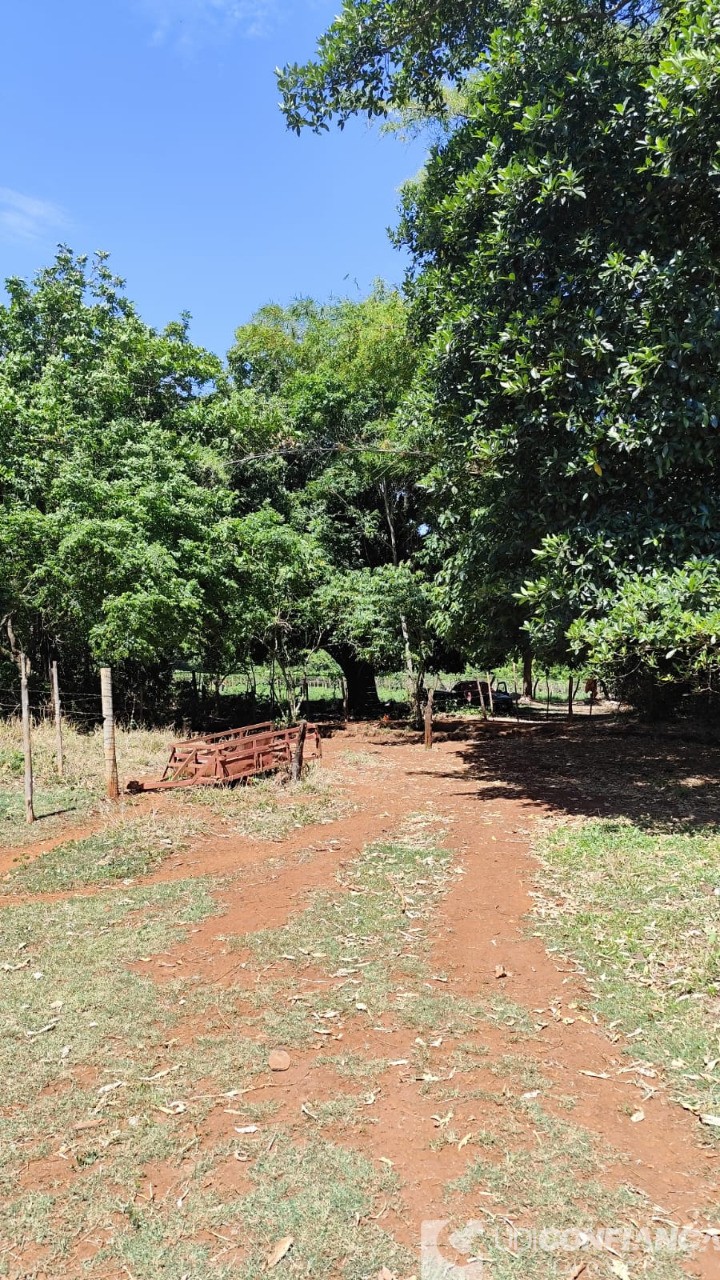 Fazenda - Foto 3