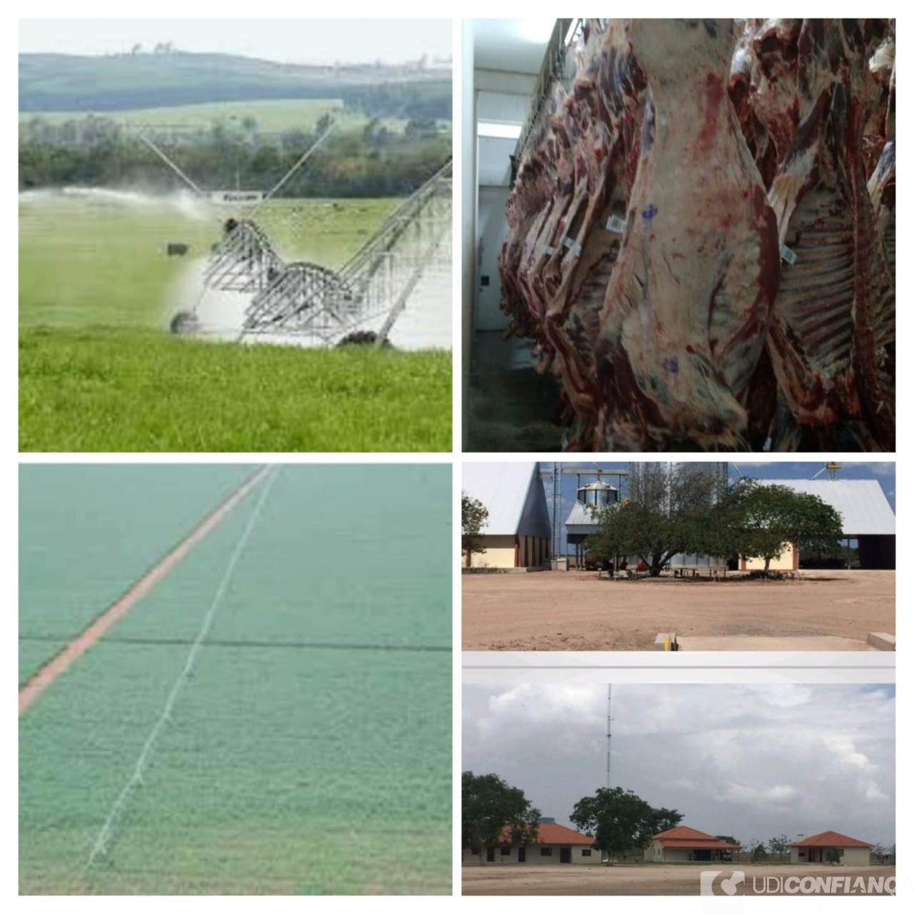 Fazenda - Foto 1