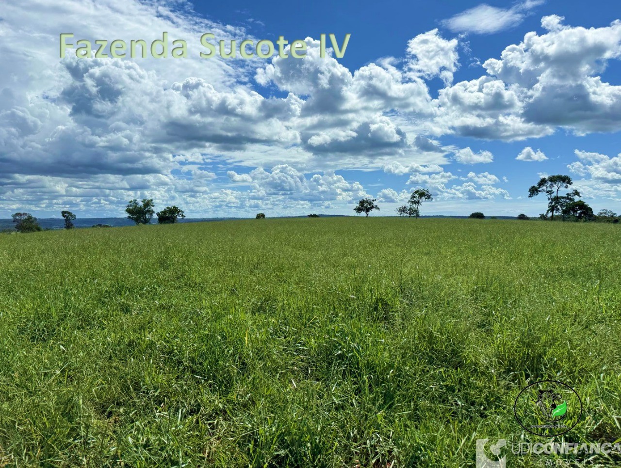 Fazenda - Foto 14