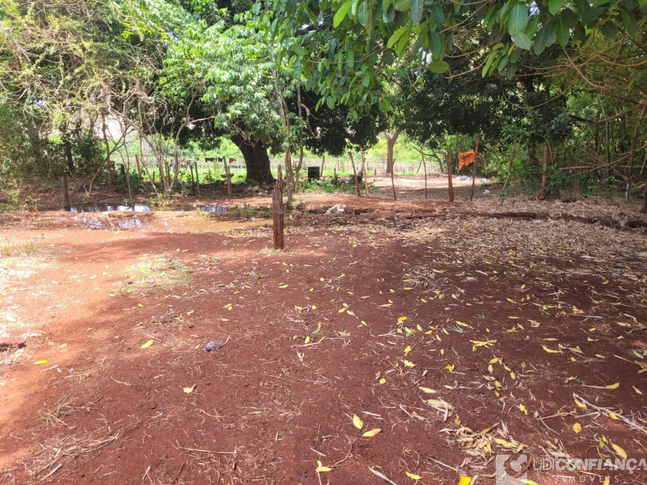 Fazenda - Foto 32