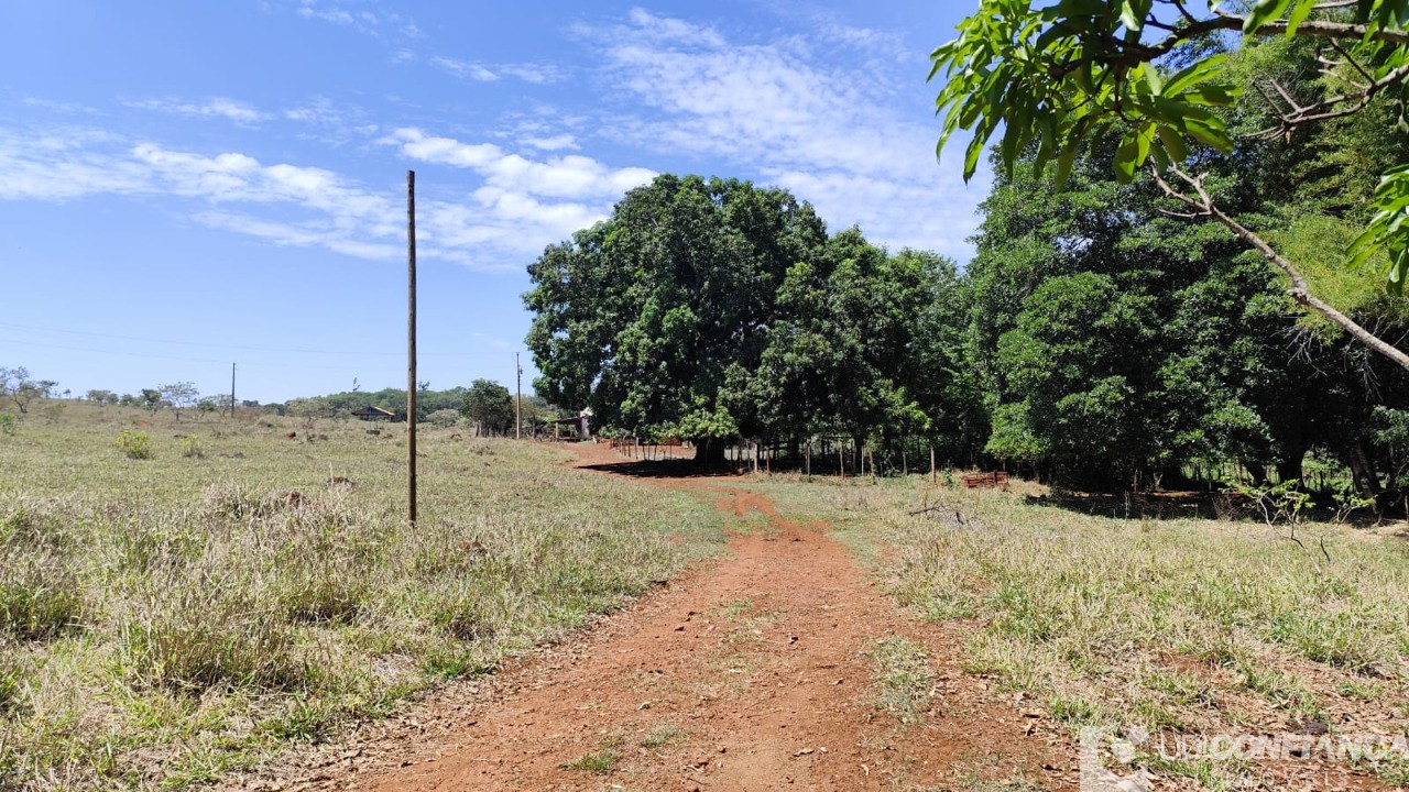 Fazenda - Foto 5