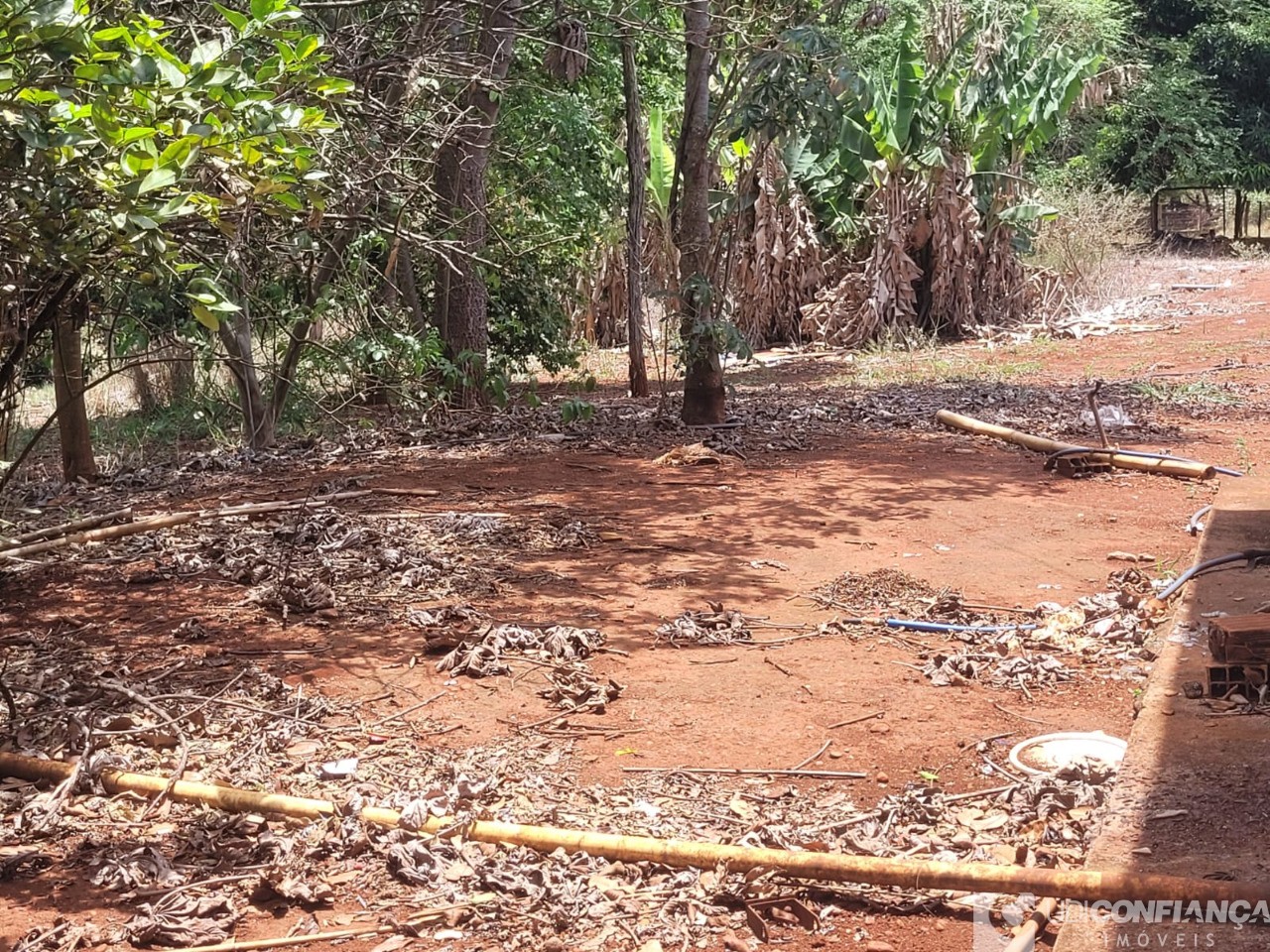 Fazenda - Foto 42