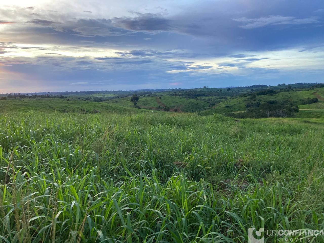 Fazenda - Foto 11