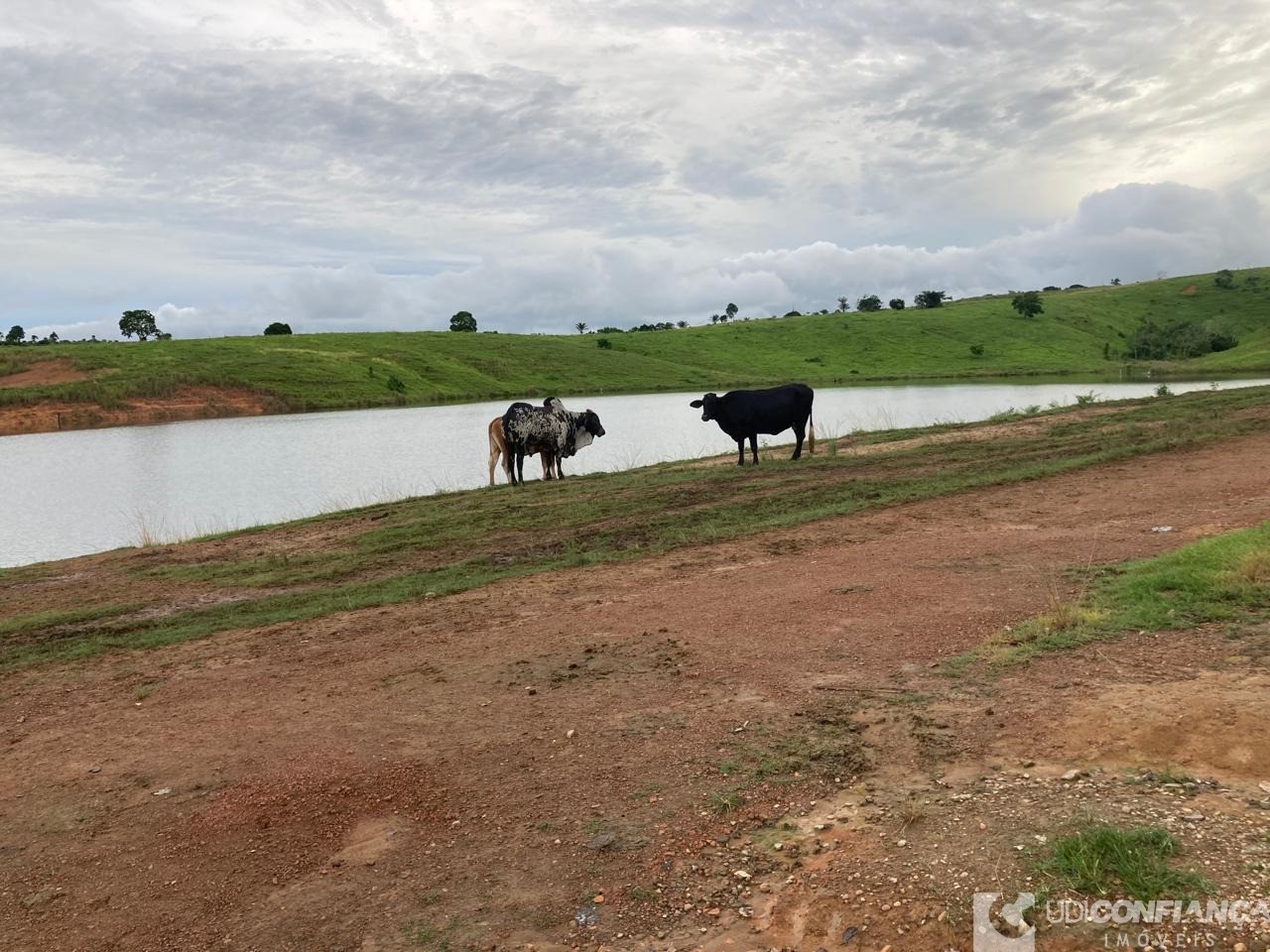 Fazenda - Foto 7