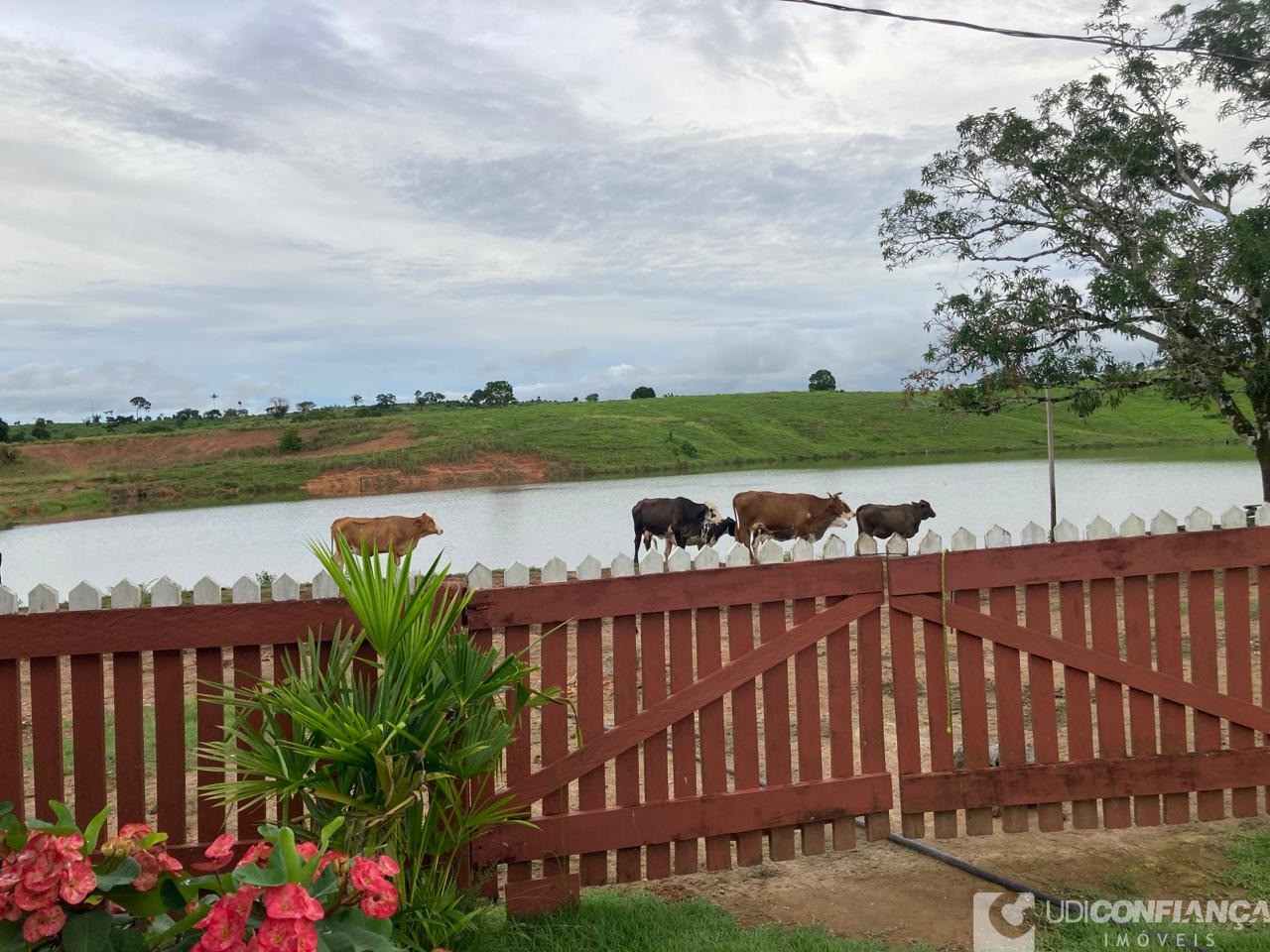 Fazenda - Foto 4